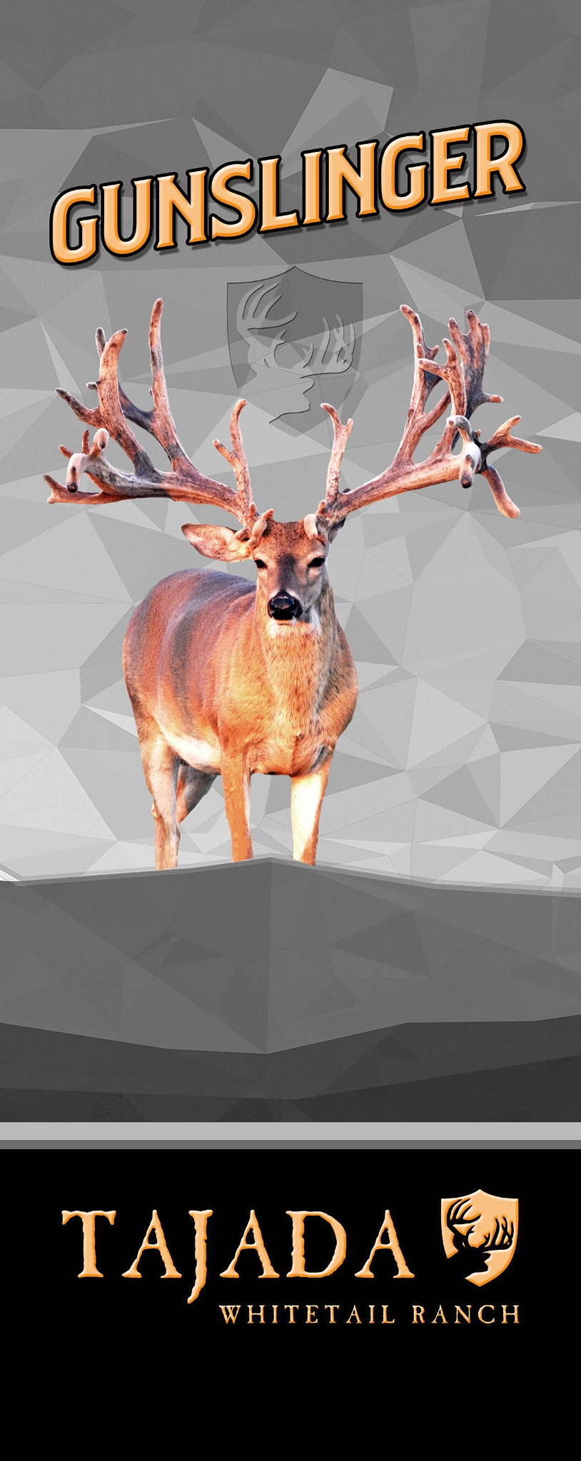 Gunslinger pull-up banner