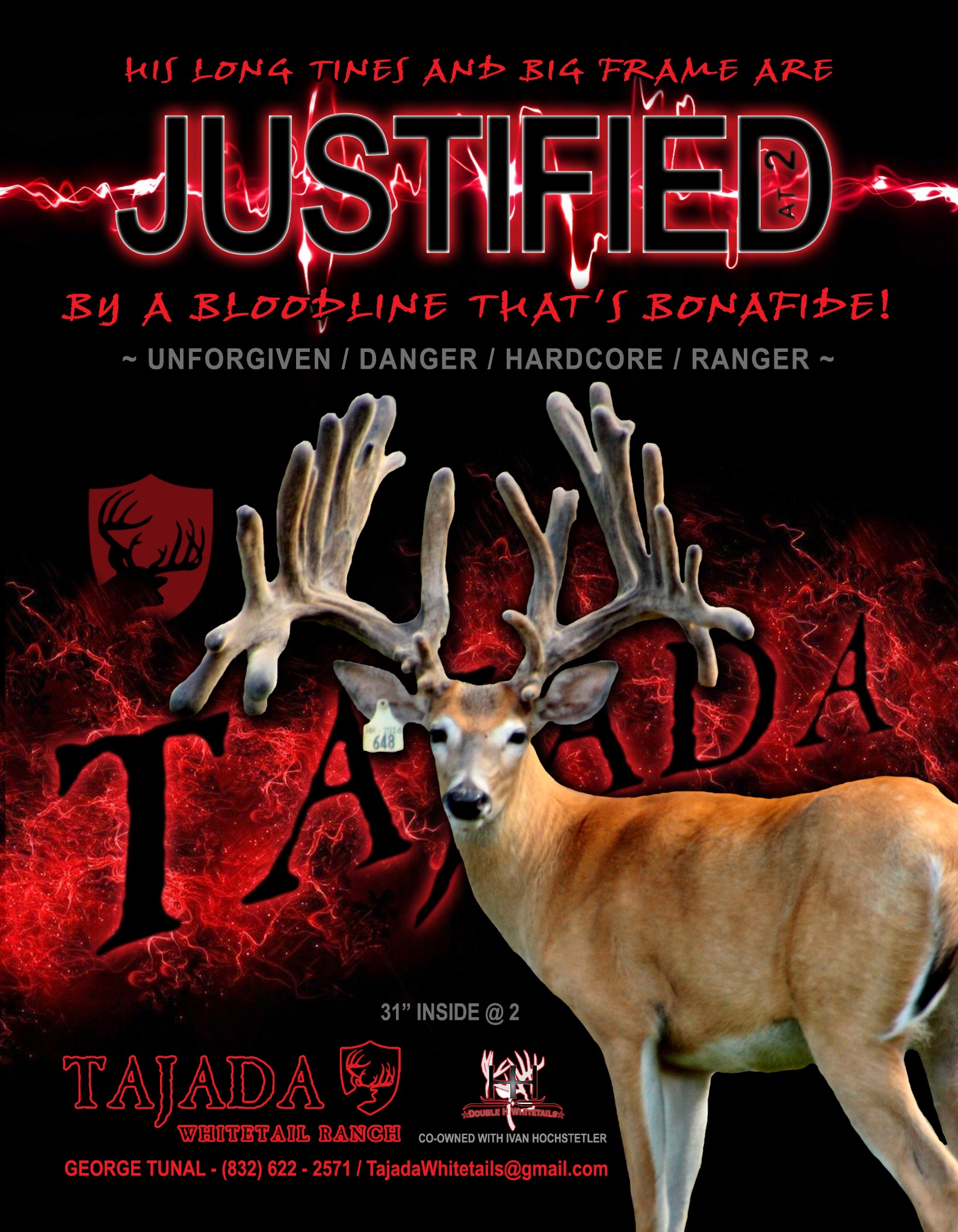 Justified Tajada advertising design