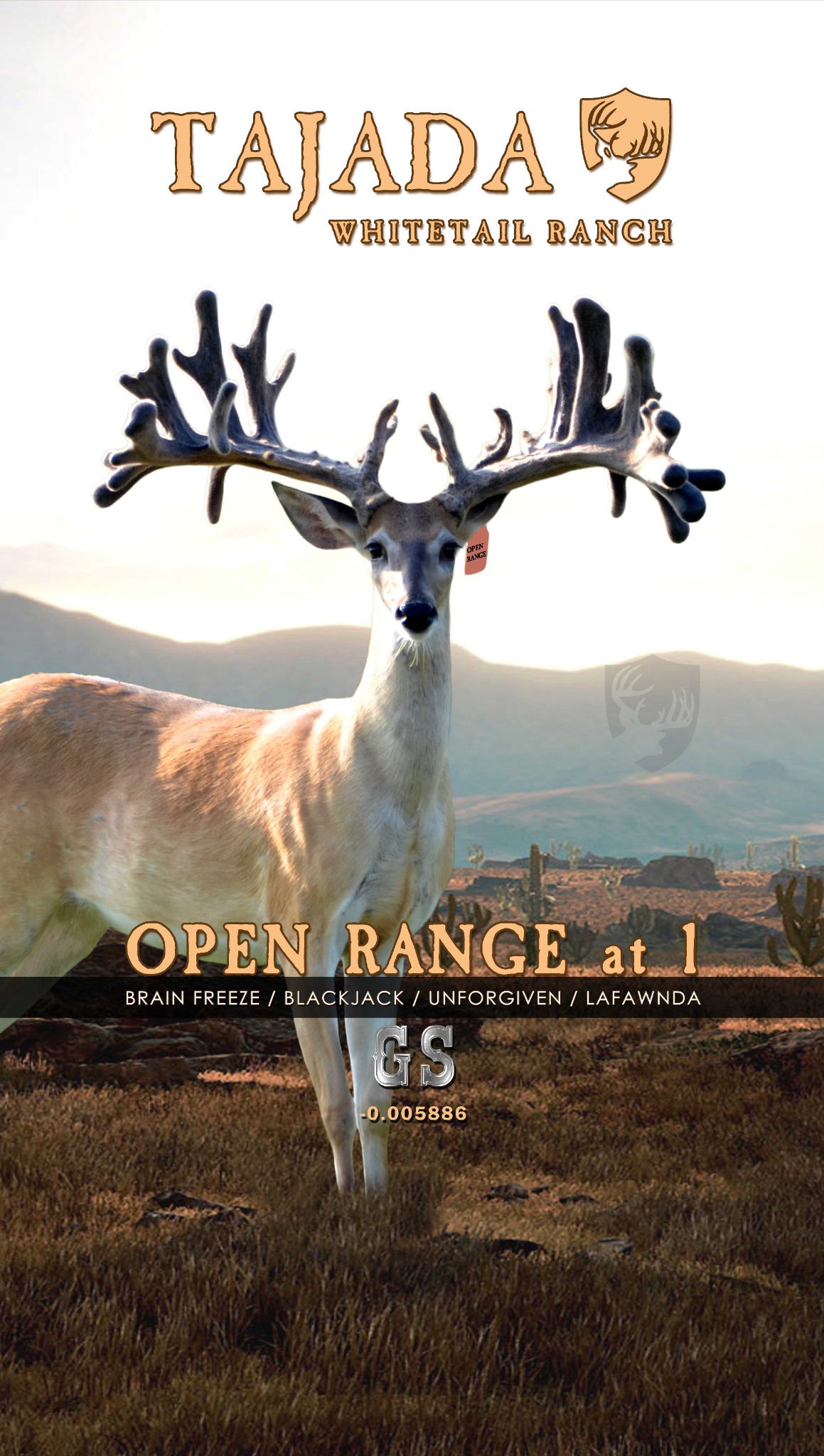 2026 pull-up / Open Range