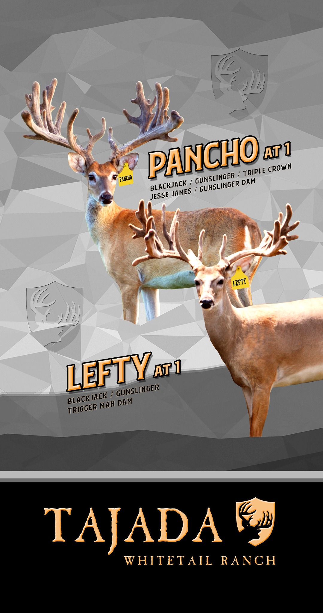 Pancho & Lefty pull-up banner