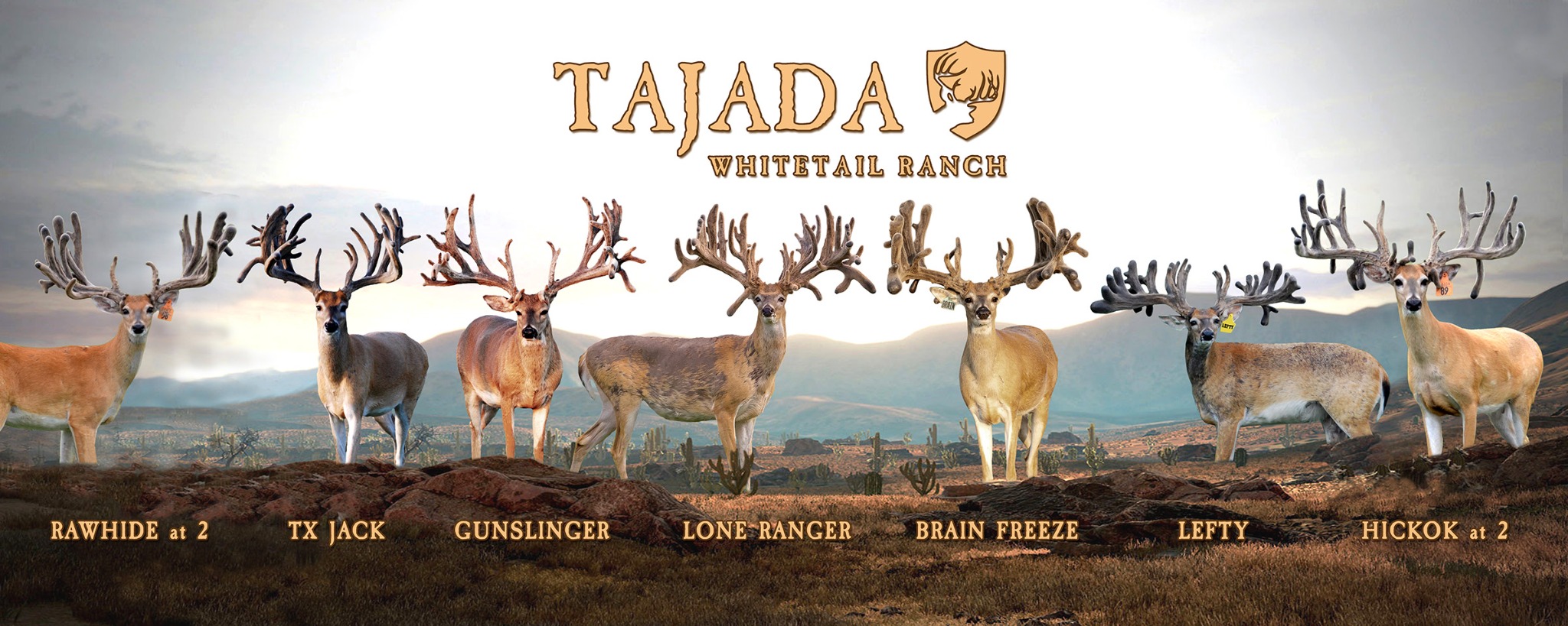 2024 Tajada ranch lineup large-format banner