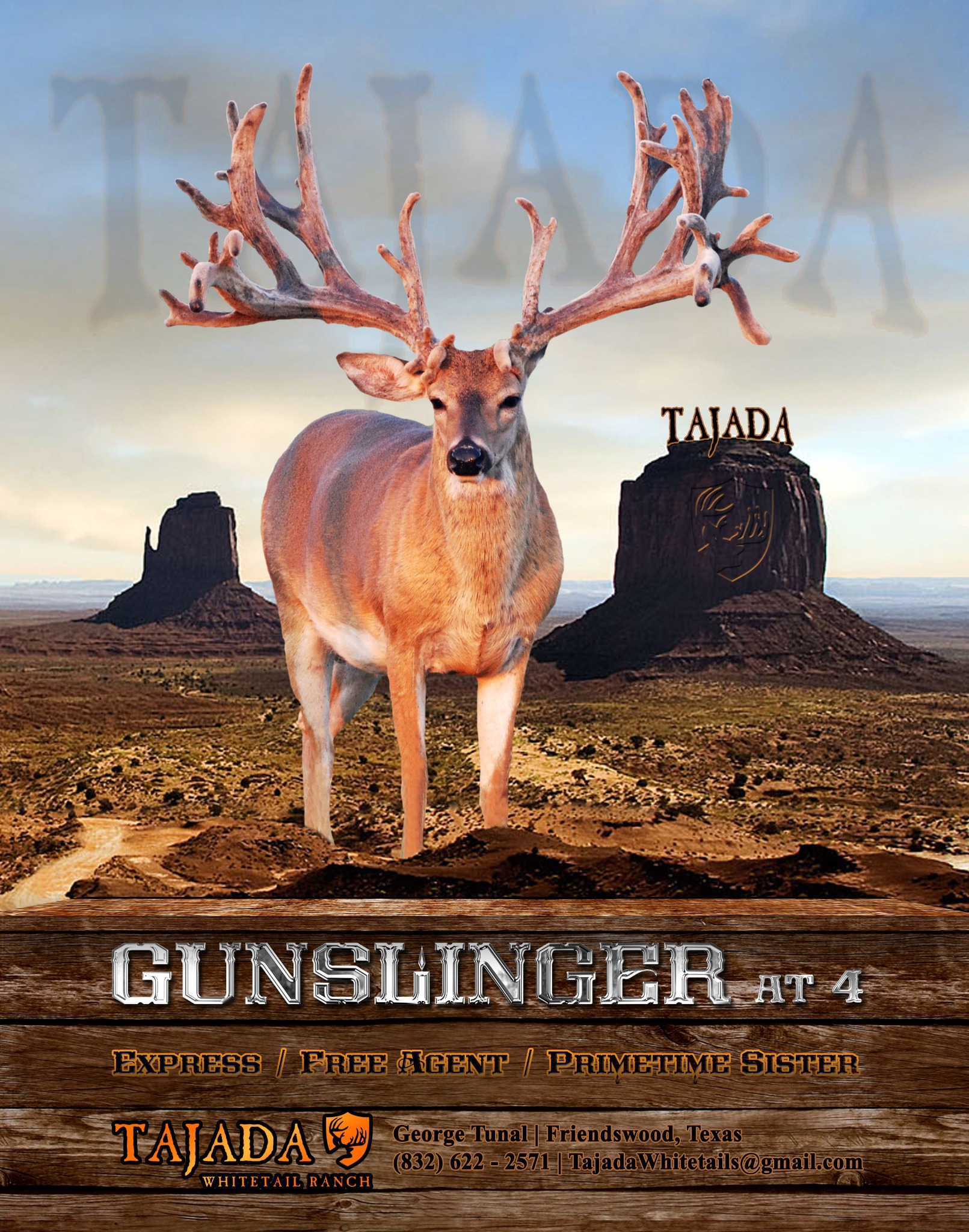 Gunslinger Tajada ad
