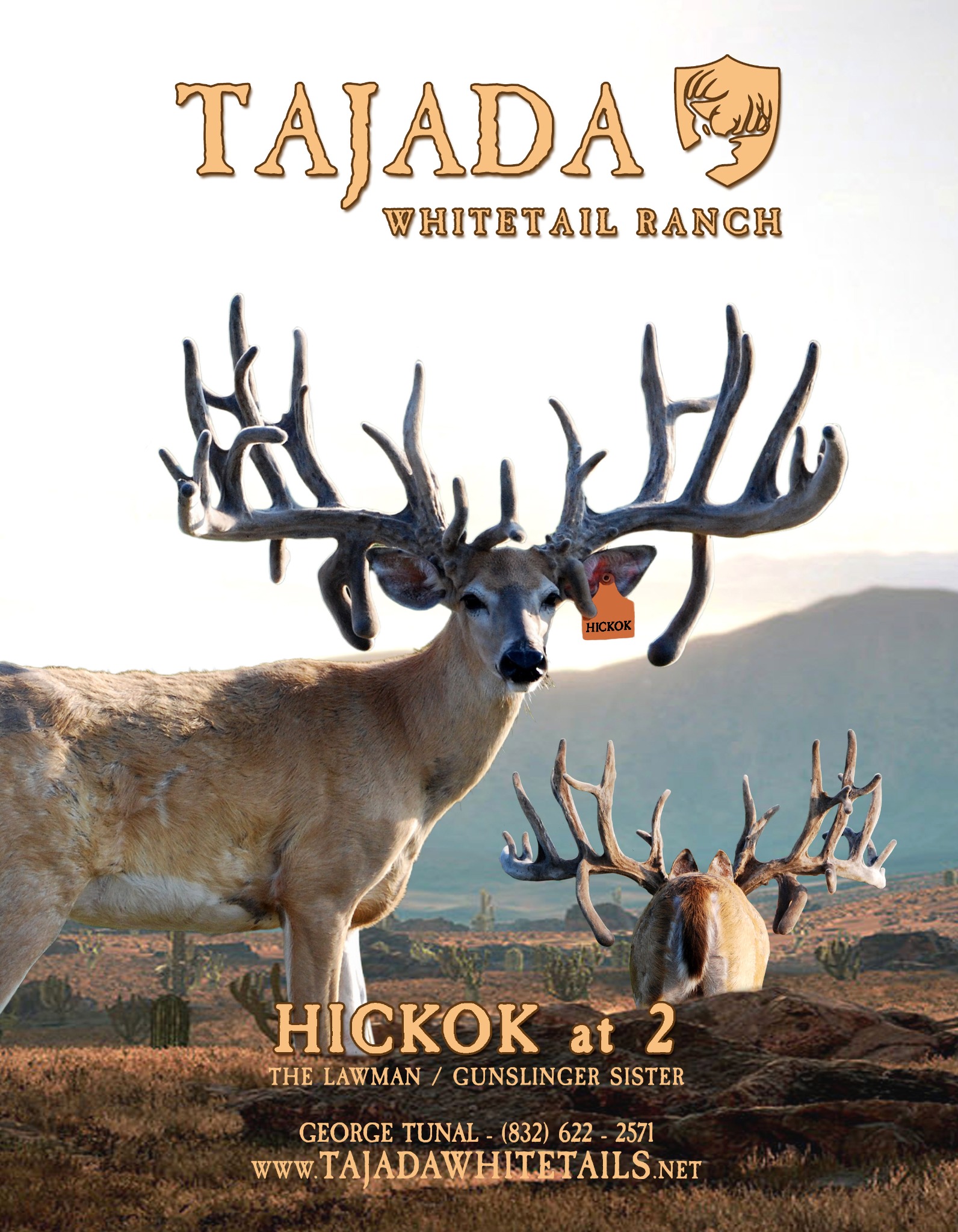 Hickok Tajada advertising design