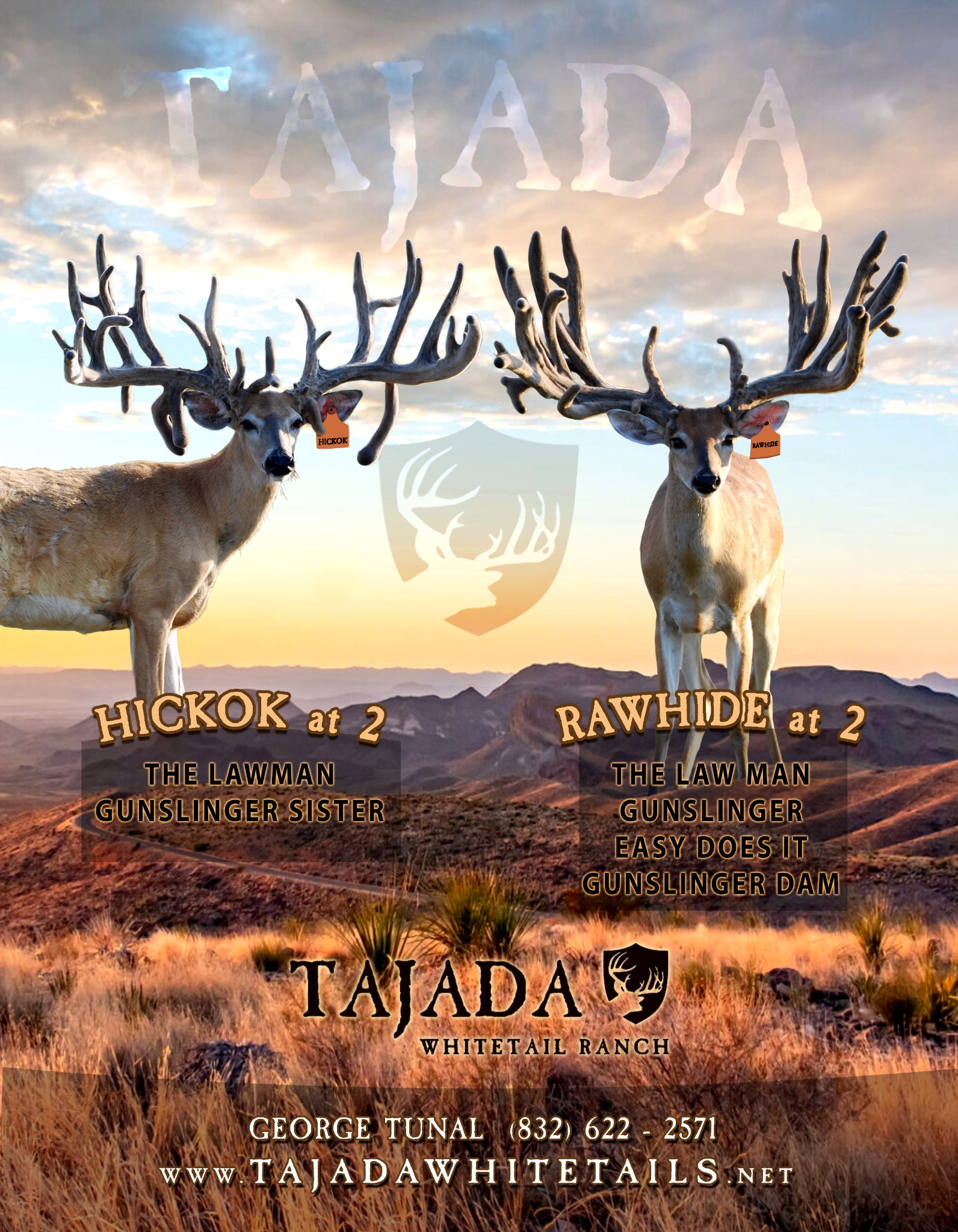 Tajada Whitetails Tajada advertising design